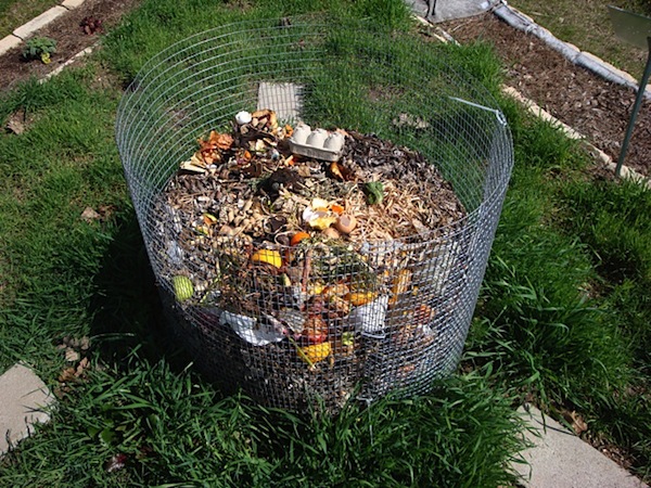 Compost color By Sadie – The Megaphone